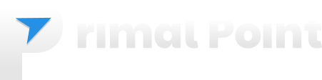 Primal Point Transportation